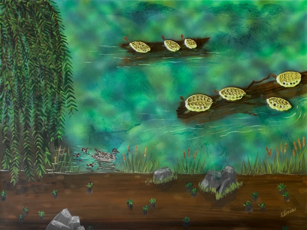 Turtles Tanning